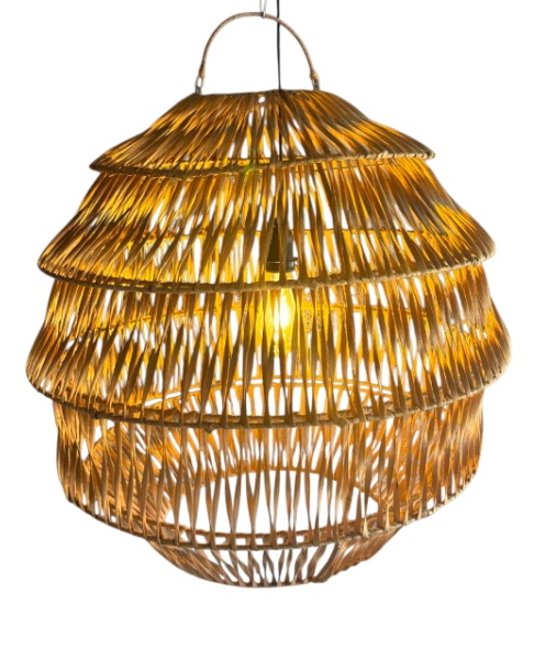 rotan